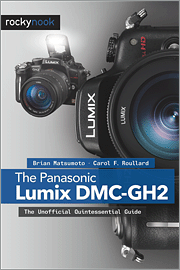 The Panasonic Lumix DMC-GH2